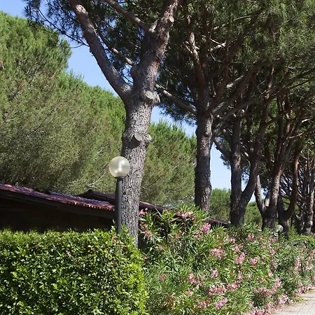 Village Oasi Camping Albinia