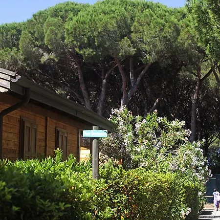 Village Oasi Camping