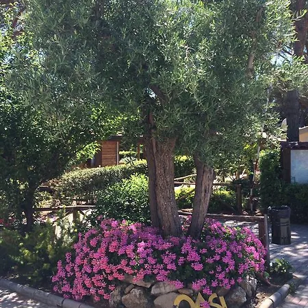 Village Oasi