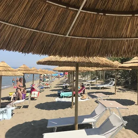 Κάμπινγκ Village Oasi *