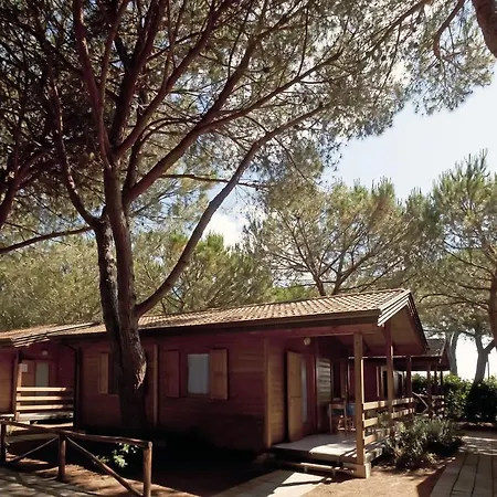 Campeggio Village Oasi *